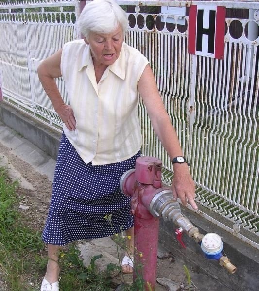 Zofia Zakrzewska, przewodnicząca osiedla Dzików w Tarnobrzegu pokazuje, że jeden z hydrantów znajduje się przed jej posesją. Hydrant posiada licznik, gdyż pani Zofia ma podpisaną umowę na czerpanie z niego wody do celów gospodarczych.