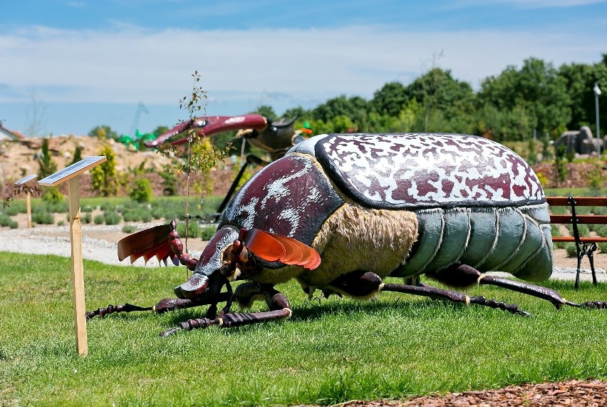 Turystyczne hity Wielkopolan. Zwycięzcą plebiscytu Deli Park - park edukacyjno-rozrywkowy