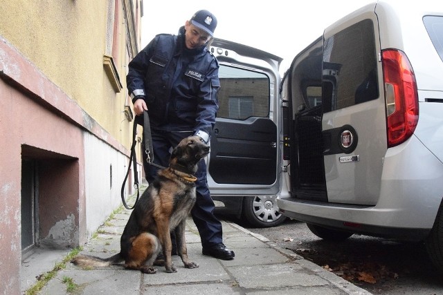 Bielsko-Biała: nowe radiowozy do transportu psów