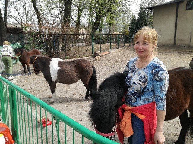 Oprowadzaniami dzieci na kucykach zajmowała się Danuta Lech wraz z siostrą.