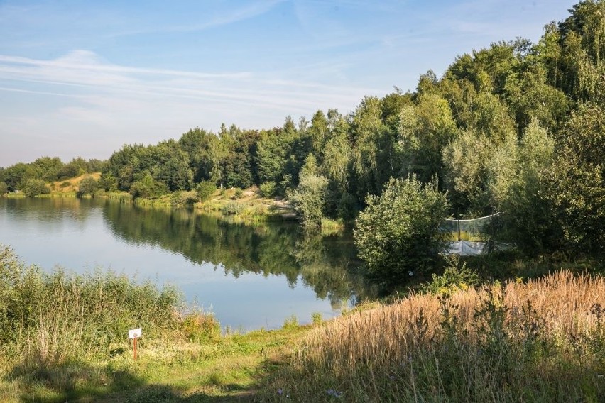 Plaża nudystów nad zalewem leżącego na styku Kryspinowa,...