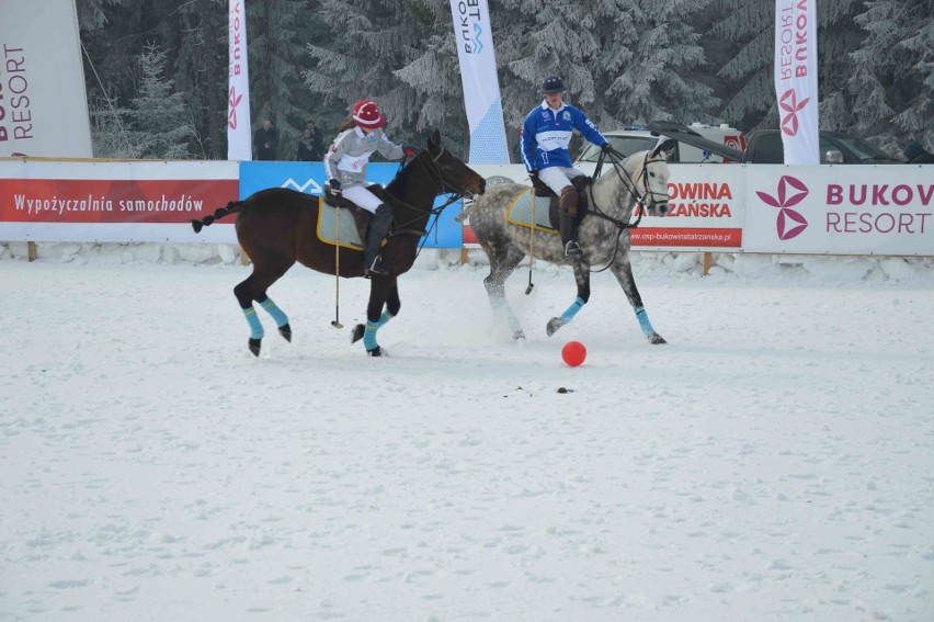 Bukowina Tatrzańska. Grali z polo na śniegu [ZDJĘCIA]