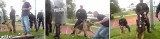 Policyjny pies zaatakował na meczu spokojnego kibica [wideo] 