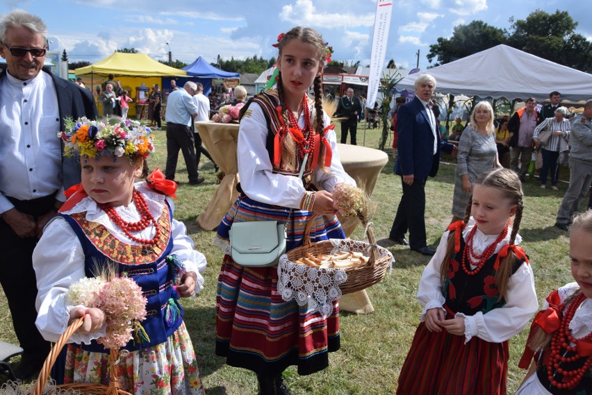 Dożynki powiatu częstochowskiego w Kłomnicach...