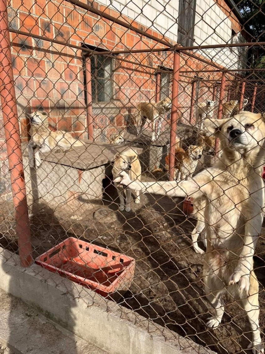 - Interwencja pokazała, że człowiek jest zdolny do...