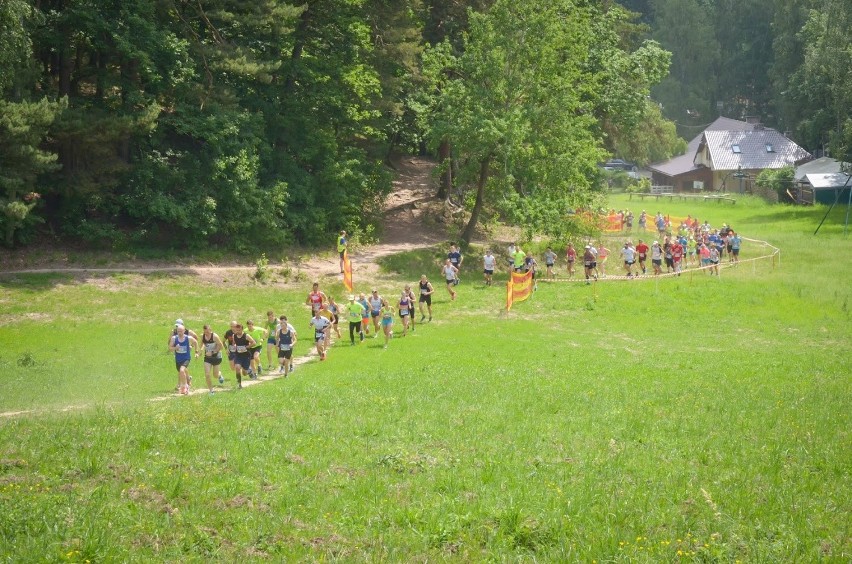 Sopockie Lato 2021. Bieg na dystansie 5 km u podnóża Łysej...