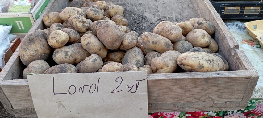 Ceny owoców i warzyw na targu w Jędrzejowie w czwartek 20 października. Ile kosztowały jabłka i śliwki? Zobacz zdjęcia 