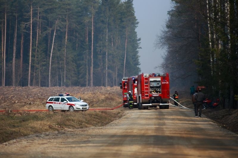 Pożar lasu i wypadek autobusu. Wielkie ćwiczenia strażaków (zdjęcia, wideo)