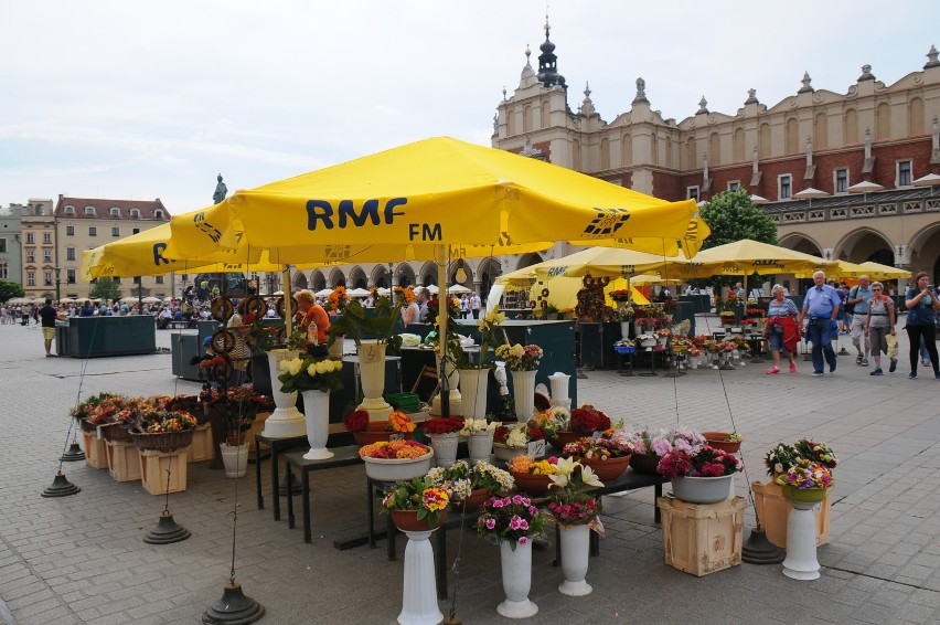 Charakterystyczne żółte parasolki krakowskich kwiaciarek...