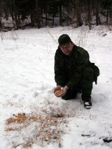 W Bieszczadach coraz łatwiej spotkać zimą niedźwiedzia 