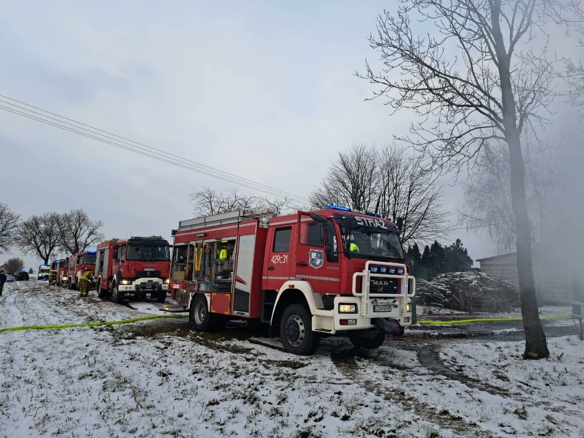 Pożar domu w Stolnie w powiecie chełmińskim. Jedna osoba została ranna