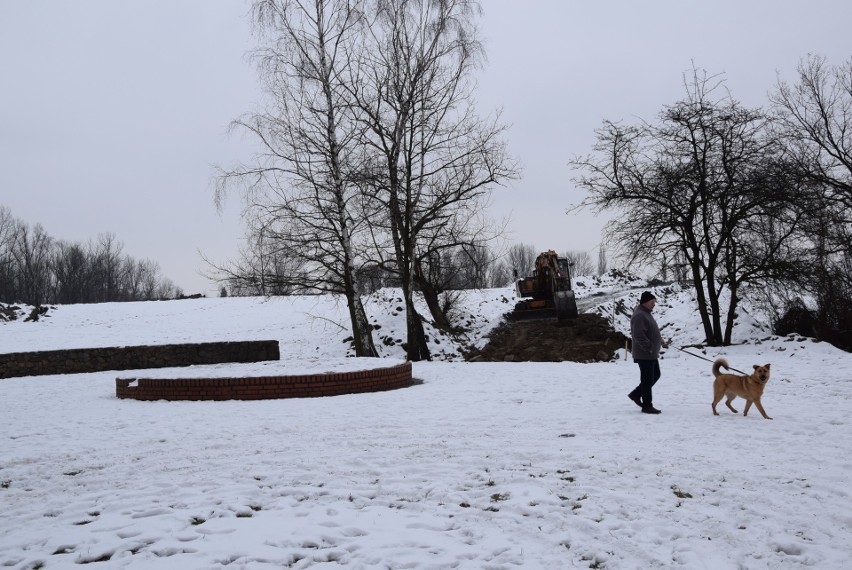 Oświęcim. Na Kamieńcu wycięto piękne drzewa. Tak powstaje Park Pojednania Narodów [ZDJĘCIA, WIZUALIZACJA]