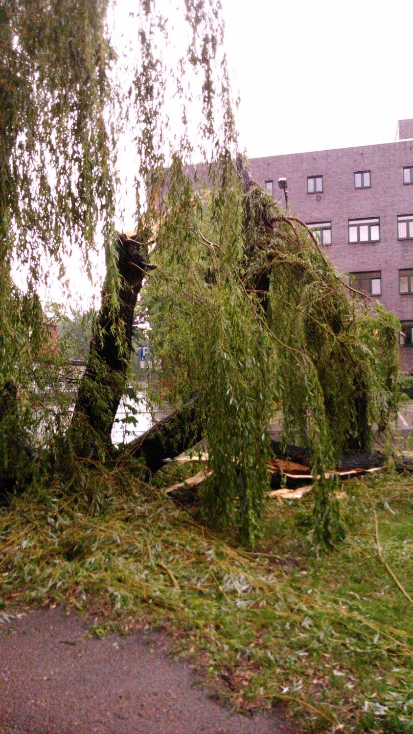 Oberwanie chmury w Zabrzu. Po burzy ulice to rwące rzeki....