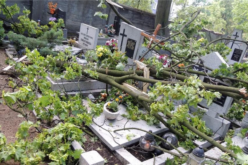 Cmentarz Grabiszyński we Wrocławiu po nawałnicy