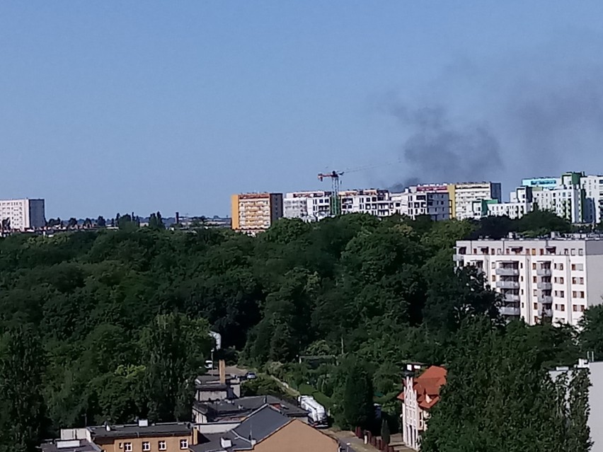Dym nad południową częścią Szczecina. Paliły się odpady