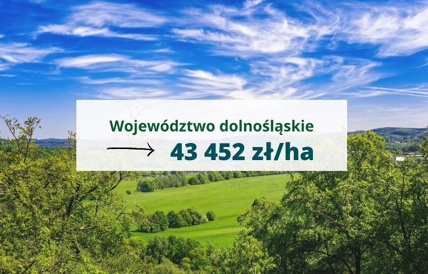 Średnia cena ziemi w województwie dolnośląskim w II kwartale...