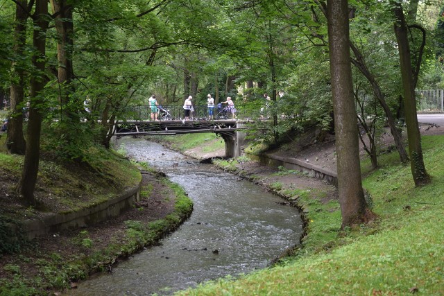 Dzikie plany nad Krzeszówką to dla mieszkańców miast doskonałe miejsce na spacery, podczas których karmią kaczki