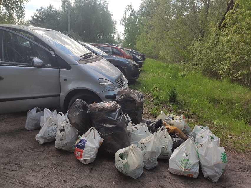 Tarnobrzeg. Do akcji "Mamy na to czas, posprzątajmy razem las!" każdy może dołączyć