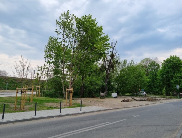 Czy na Jeżycach powstanie nowy park kieszonkowy?