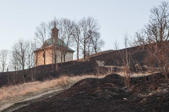 Okolice Kaplicy Świętej Anny wznoszące się ponad Pińczowem są całkowicie wypalone.