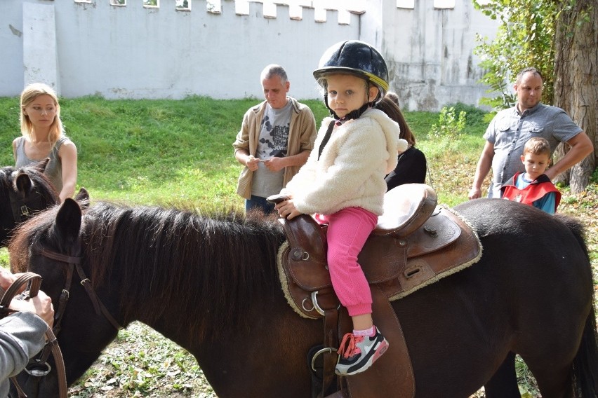 Jarmark Jadwiżański 2016 w Leśnicy