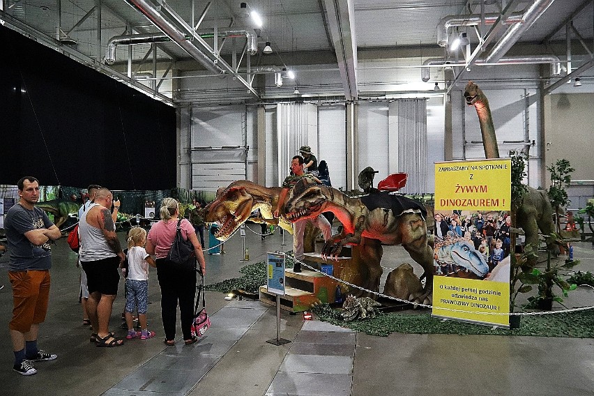 Łódź Dino Expo. 35 dinozaurów w Hali Expo. Zobaczcie zdjęcia!