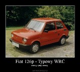 Fiat 126p obchodzi 45. urodziny. Maluch wiecznie żywy! Zobacz najlepsze MEMY Fiat 126p