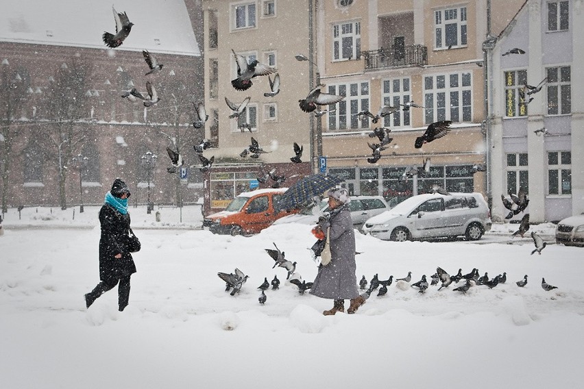 Opady śniegu w Słupsku.