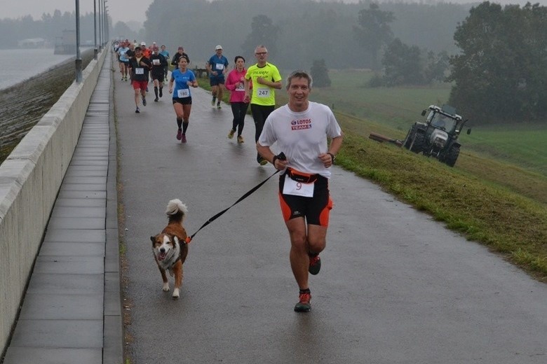 Bieg Koroną Jeziora Goczałkowickiego 2015 w Zabrzegu