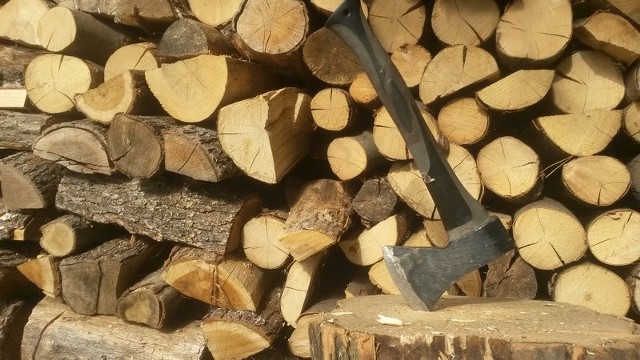 Metr przestrzenny drewna opałowego kosztuje w Łodzi od 110 do 290 zł.