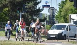 Łódzcy kierowcy chcą obowiązkowego OC dla cyklistów. Złożyli wniosek w ministerstwie [SONDA]