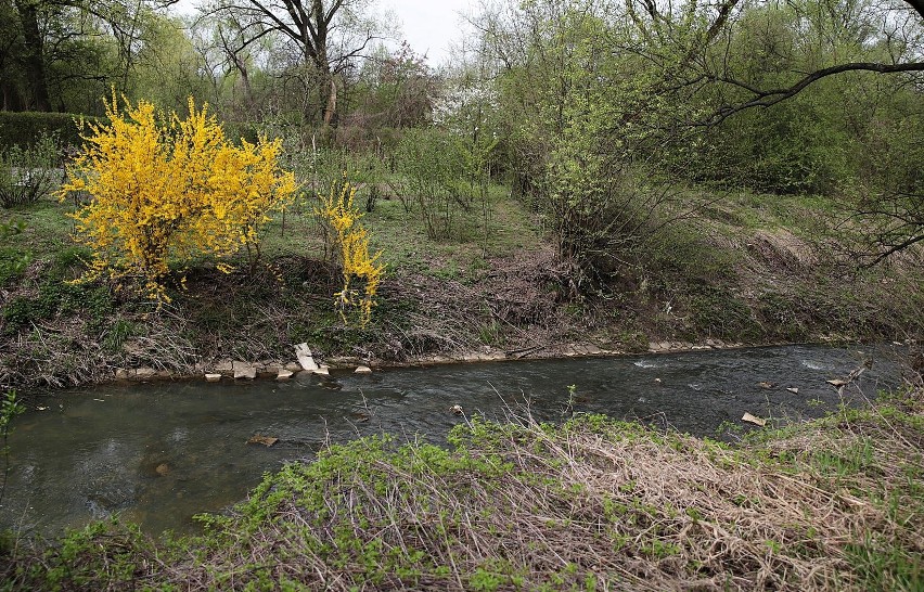 Kraków. Zobacz, jak wygląda Park Rzeczny Wilgi. Ekologom się nie podoba - z powodu betonu [ZDJĘCIA]