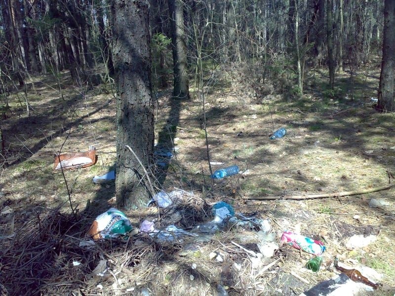 Śmieci w lasach