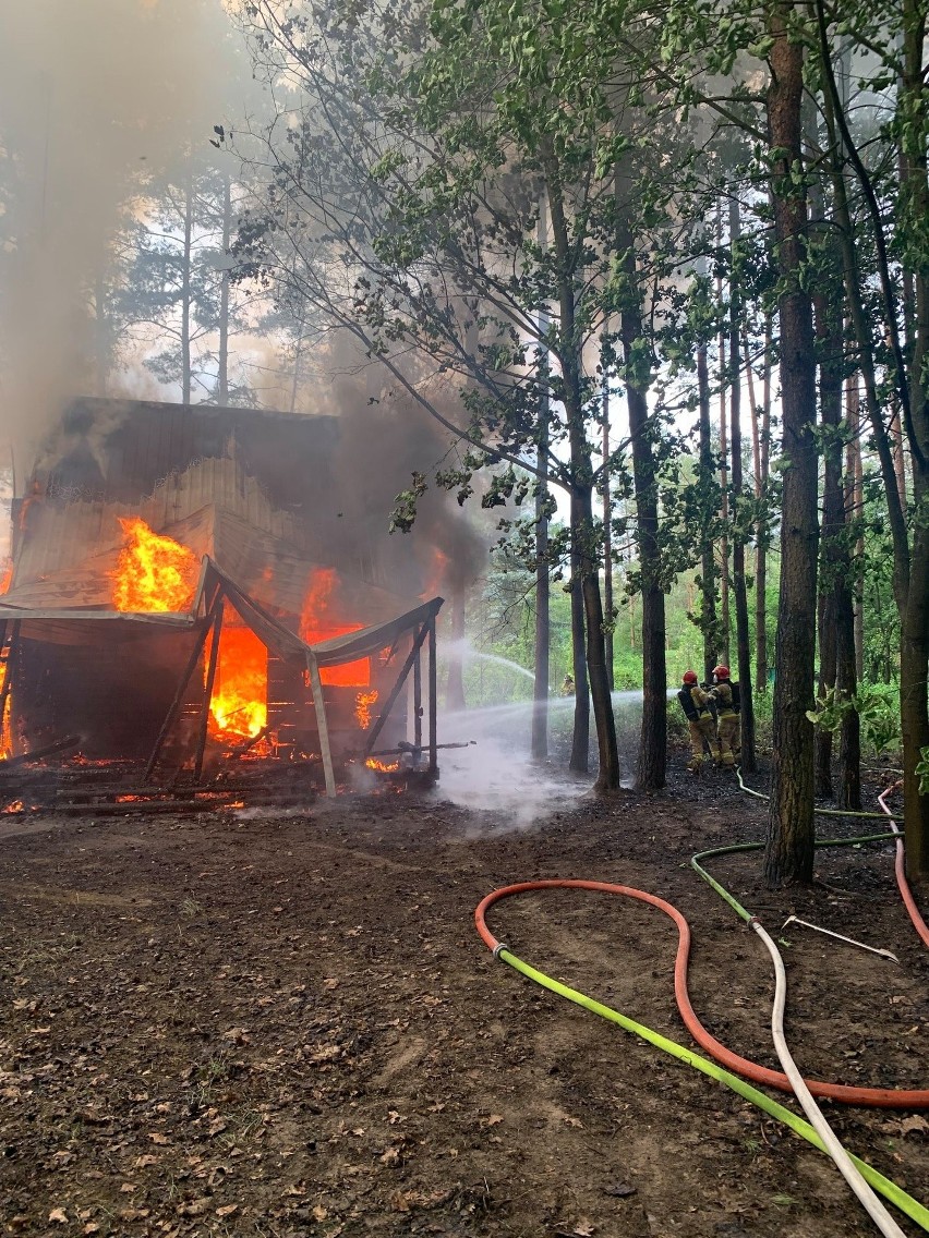 Kamieńczyk. Pożar domku na działce letniskowej. Akcja gaśnicza trwała kilka godzin. 8.06.2021. Zdjęcia