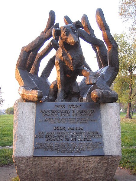 Stojący w Krakowie Dżok jest symbolem psiej wierności....
