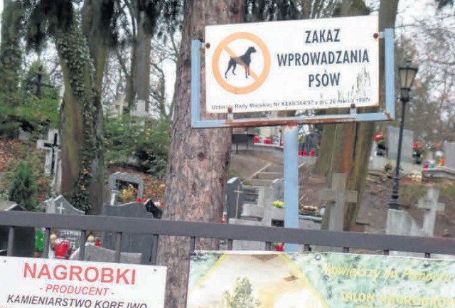 O zakazie wprowadzania psów na teren cmentarzy informują tablice przy wejściach. Kto złamie przepisy, musi się liczyć z mandatem nawet w wysokości 500 złotych