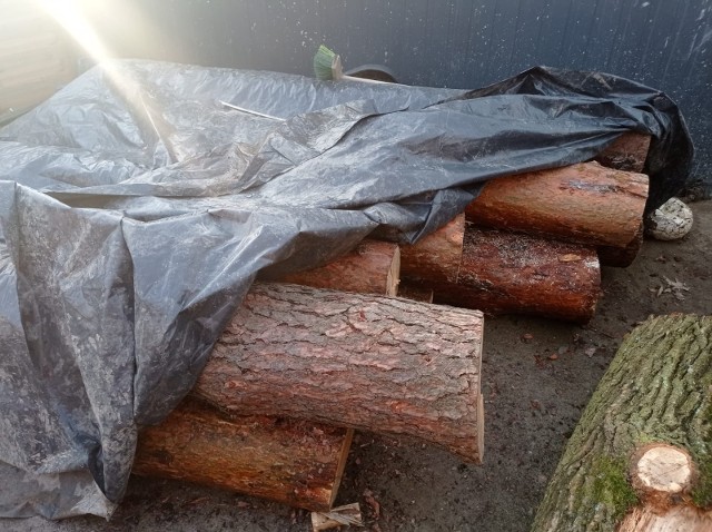 Kawałki drewna skradzionego przez 28- i 30-latka z powiatu brzeskiego