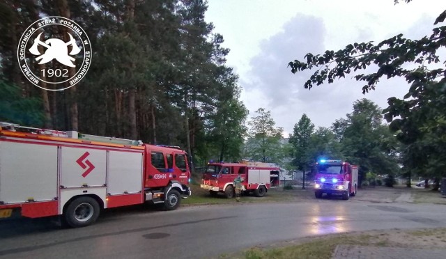 Podczas środowej akcji strażaków w Stąporkowie