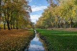 Poznań zmienia zasady gospodarowania wodami opadowymi. Nowe regulacje obejmą m.in. deweloperów. Będą musieli gromadzić wodę opadową