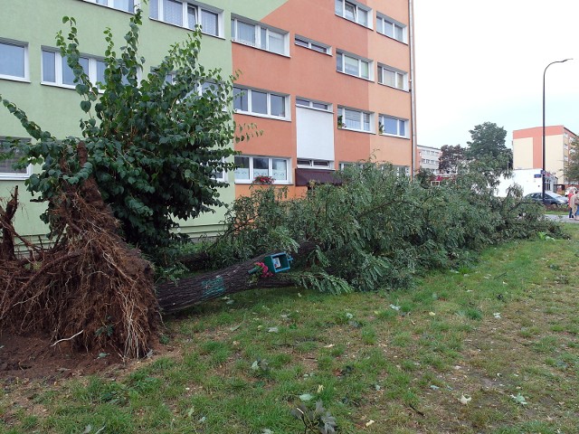 Tragiczny bilans burzy w regionie. Cztery osoby nie żyją.