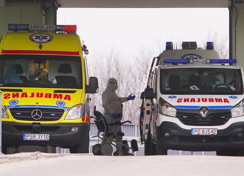 24.03.2021 poznan gd szpital szwajcarska strusia covid...