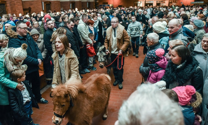 Piękna żywa szopka w parafii Matki Boskiej Królowej Męczenników