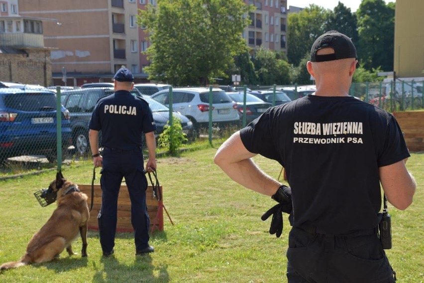 Szkolenie przewodników i psów służbowych na terenie Aresztu...