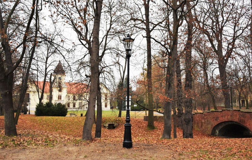 Park dzikowski w Tarnobrzegu. Spacer pogrążonymi w...