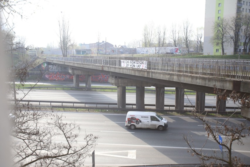 Baner z napisem NIE CZAS ŻAŁOWAĆ SZYSZKI, GDY WYCINAJĄ LASY...