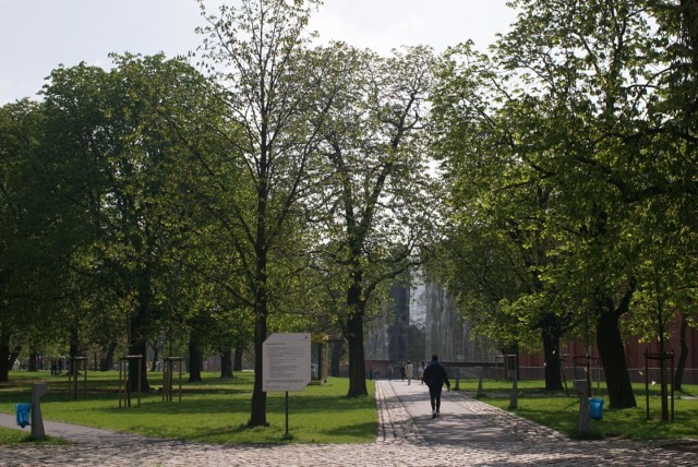Największą powierzchnią zieleni miejskiej w obrębie miasta może pochwalić się stolica Wielkopolski - wynika z badań serwisu Domiporta.pl. 20 procent terenu Poznania zajmują lasy gminne, parki i zieleń uliczna. 