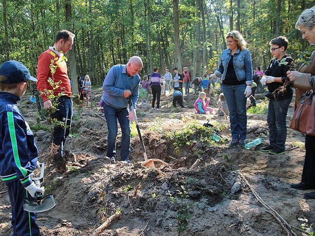 Tak wyglądało sadzenie drzew w grudziądzkim lesie komunalnym