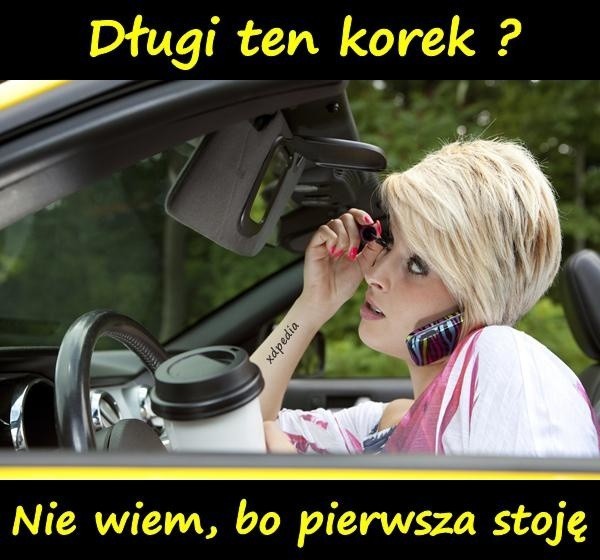Śmieszne memy o kierowcach [ZOBACZ MEMY] | Dziennik Bałtycki