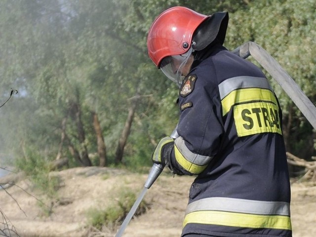 Strażacy starają się ustalić przyczyny pożaru