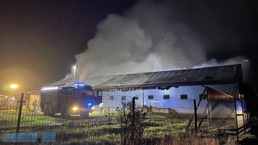 Przeździecko-Mroczki. Duży pożar chlewni w gminie Zambrów. 16 zastępów walczyło z ogniem. Jedna osoba ranna